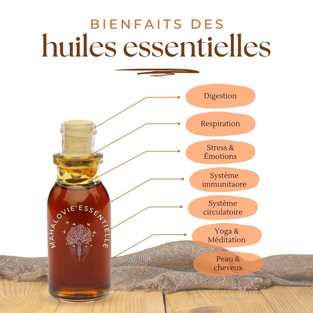 Bobologie huile essentielle doterra aromafamily
