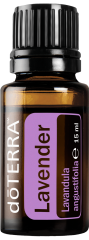 lavande-lavander-lavandula-doterra-aromafamily