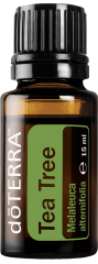tea-tree-arbre-a-the-doterra-aromafamily-mahalovie